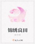 锦绣良缘种田忙全文免费阅读