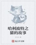 哈利波特獾帽子
