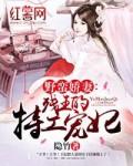 野蛮王妃暴君
