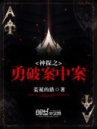 神探之勇破案中案讲的啥