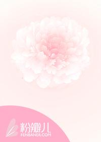 爱不言弃歌曲