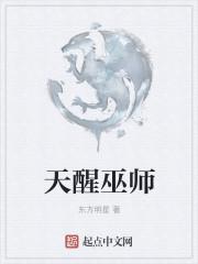 诸天恶魔巫师