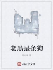 一条黑狗还是一只黑狗呢
