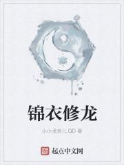 锦衣修龙老刘陈美琳免费版全文