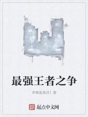 最强王者之荣耀王者
