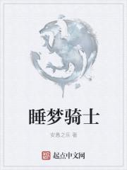 梦骑士影评视听语言