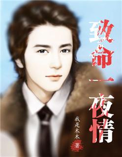 致命一夜情电影免费播放