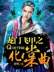 龙门飞甲的视频