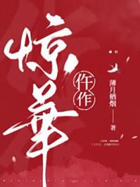 仵作惊华薄月栖烟txt