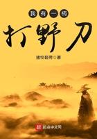 我有一柄打野刀txt奇书网