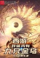我体内有九只金乌境界