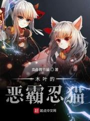 木叶的恶霸忍猫顶点