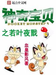 神奇宝贝之叶天下