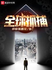 全球抓捕开局获得基德模板.txt