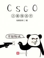 csgo之最强选手无弹窗