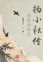 杨小秋导演