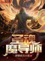 圣导师风魂多少级可以学