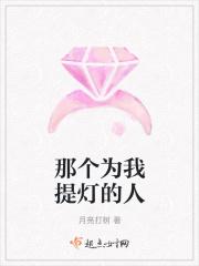 那个为我提灯的人作文600字
