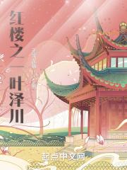 红楼之瑾玉良媛叶海