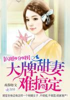 闪婚第十九集