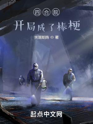 四合院开局我是棒梗