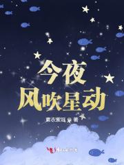 今夜听风吹动