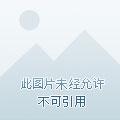 涅世神凰全文免费阅读