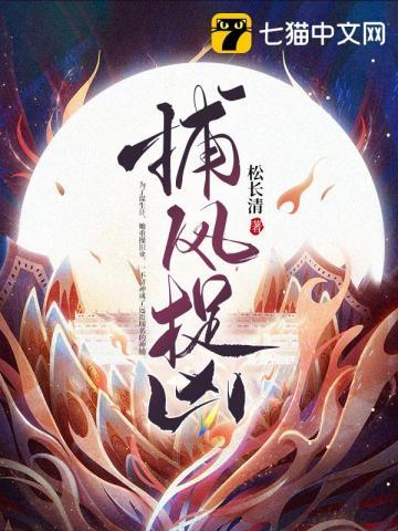 捕风捉凶书评