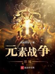 元素战争领域无防盗章节