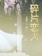 碎片 游戏