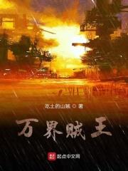 万界大强盗