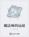 魔法师的历险
