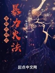 全职法师火系魔法