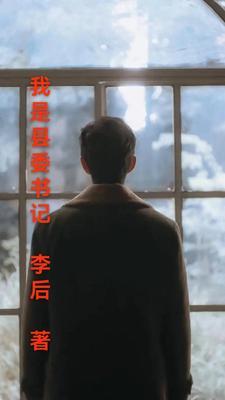 我想要看县委书记