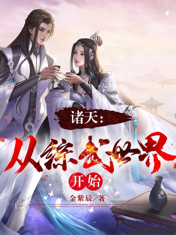 诸天从综武世界开始免费阅读