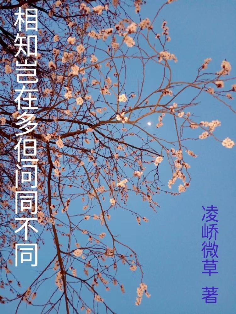 相知岂在多但问同不同怎么读