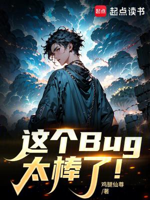 这个bug太棒了完整版