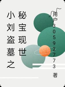 小刘盗墓之秘宝现世免费阅读