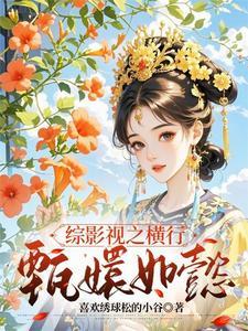 综影视含甄嬛传电视剧