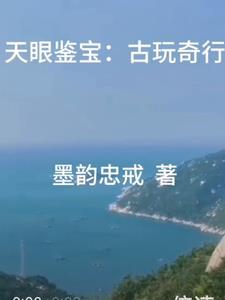 古玩天眼txt