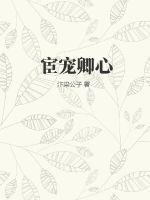 宦宠完整阅读