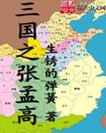 三国之我是张燕
