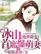 冰山女总裁的绝世高手