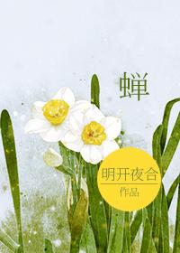 蝉的图片