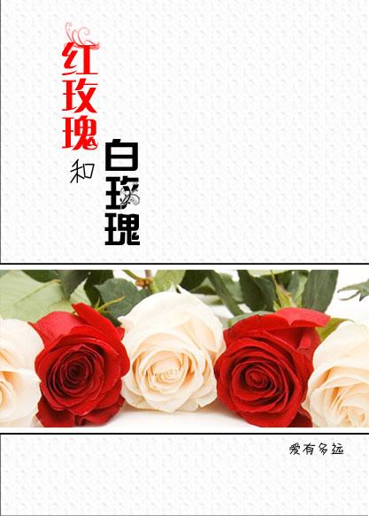 红玫瑰与白玫瑰属于什么