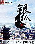 银狐感冒散