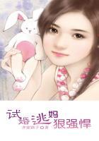 试婚夫人
