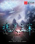 神魂主宰第二部