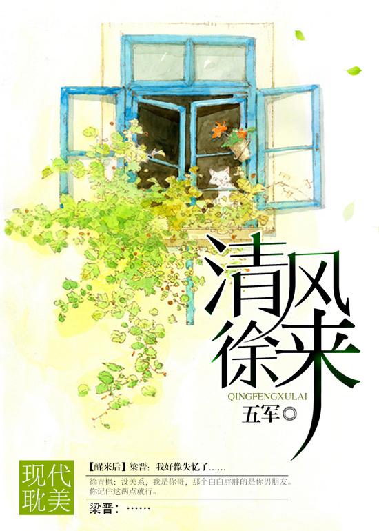 清风徐来之富察琅嬅