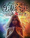白银圣骑士